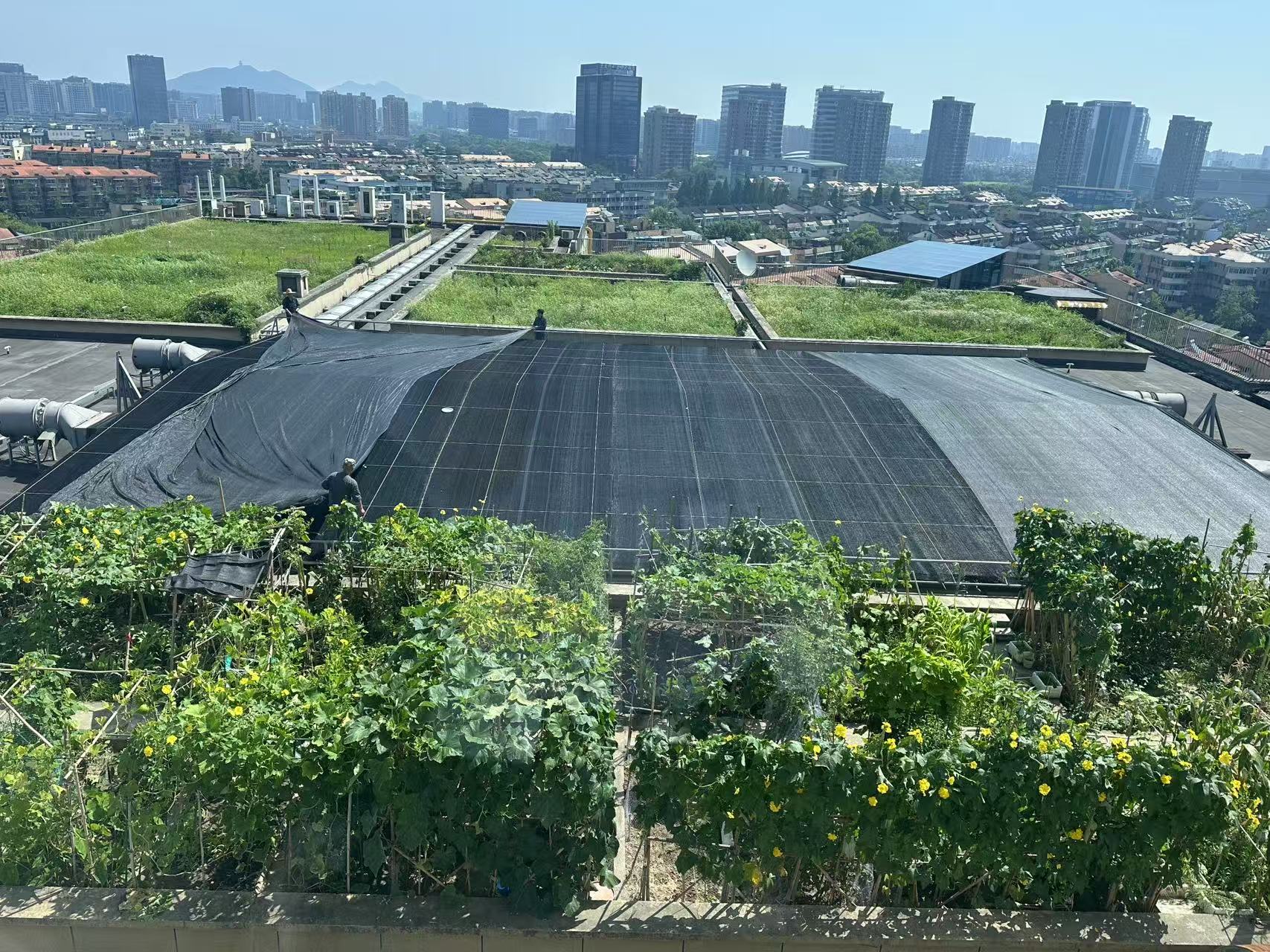 水晶城巧施”遮陽術(shù)“，為節(jié)能降耗注入清涼動(dòng)力