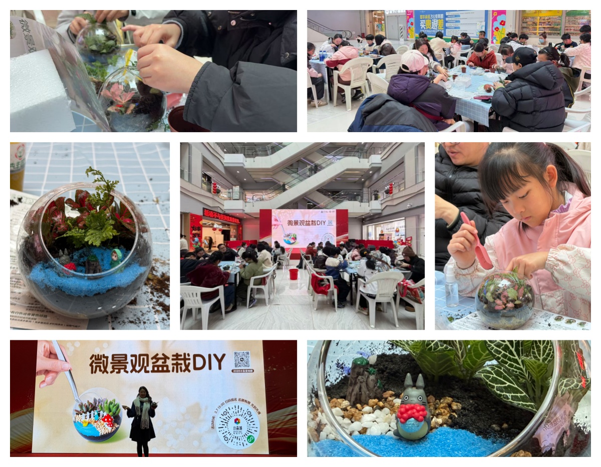 巧手造微景，指尖綻春意——水晶城微景觀盆栽 DIY 活動(dòng)圓滿舉辦